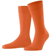burlington-lord-socks---orange-34453368