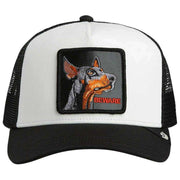 goorin-bros-beware-trucker-hat---dust-whitevoid-black-35922697