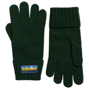 Superdry & Co Wool Blend Radar Gloves - Enamel Green