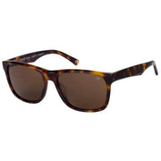 Botaniq Bold Square Sunglasses - Brown Tort