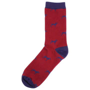 David Van Hagen Dog Socks - Red/Navy